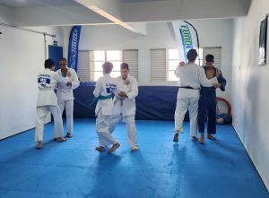 Vários jovens praticam judô em um tatame azul. A composição da imagem mostra um grupo de jovens envolvidos em uma atividade de judô.  Os praticantes estão em diferentes posições e ângulos, envolvidos em demonstrações ou técnicas de judô.  Há uma série de movimentos, o que indica que a imagem foi capturada durante uma sessão de treino ou prática.
Os jovens participantes usam uniformes brancos, típicos do judô.  Há uma diversidade de faixas de cores diferentes nos uniformes.  As expressões dos praticantes variam; alguns demonstram concentração, outros, um pouco de esforço. Os uniformes e as cores das faixas sugerem que os praticantes estão em diferentes níveis de experiência ou habilidade.